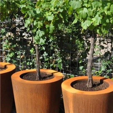 Kotak Bunga Baja Corten