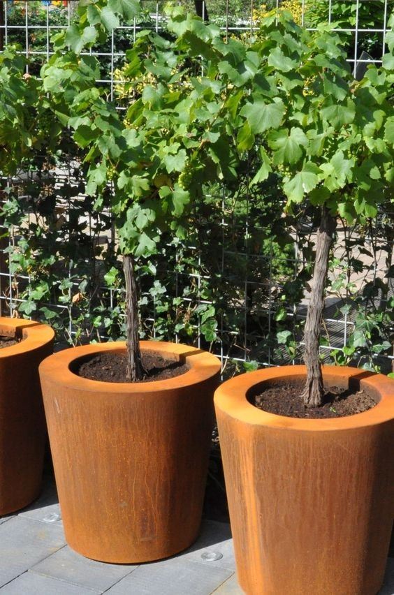 Courtyard Corten Rusty Planter