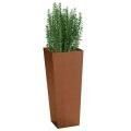 Steel Wall Planter