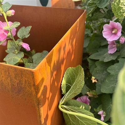 Penanam Taman Corten Selesai Karat